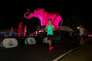 BIB: 
                            <button type="button" onclick="openModal(26535174)" class="btn btn-primary btn-sm float-right btn-popup" data-toggle="modal" data-target=".modal-high-quality">
                        <i class="fas fa-shopping-cart"></i> Add to Cart
                    </button>
                                            <button type="button" onclick="isThisMe(26535174, true)" class="btn btn-success btn-sm float-right btn-popup btn-isme hidden" data-toggle="tooltip" data-placement="bottom" title="นี่คือรูปของคุณใช่ไหม คลิกที่นี่เพื่อเอาเข้าอัลบั้ม">
                        <i class="fas fa-plus"></i> Add to album
                    </button>
                    <button type="button" onclick="isThisMe(26535174, false)" class="btn btn-warning btn-sm float-right btn-popup btn-isnotme hidden">
                        <i class="fas fa-ban"></i> Remove from album
                    </button>